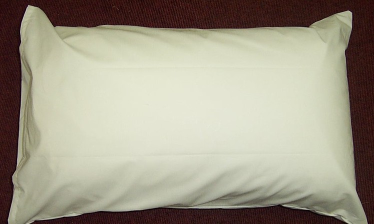 Hospital Grade Pillow ~